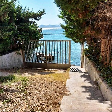 Portofino Flying Whale Apartment Benidorm Bagian luar foto
