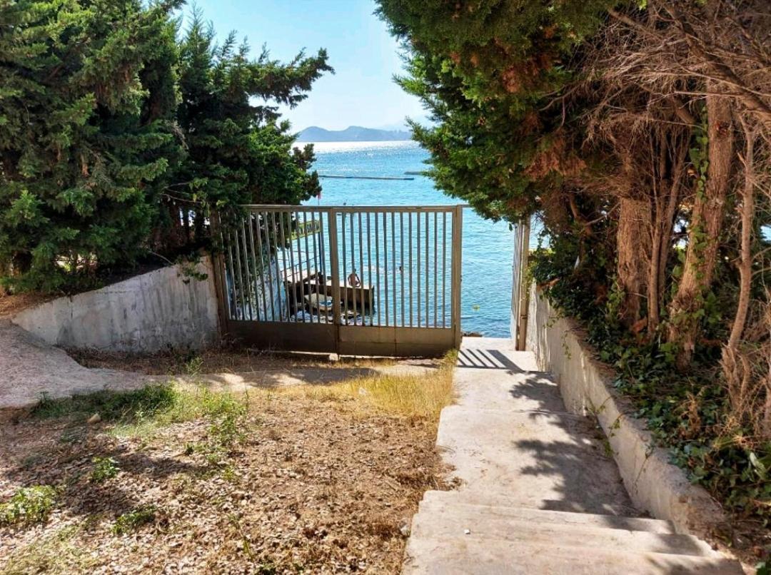 Portofino Flying Whale Apartment Benidorm Bagian luar foto